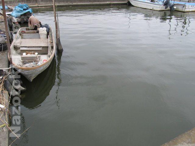 2014/03/09 外浪逆浦 鰐川で雑魚釣り ヤリタナゴも釣れたよ