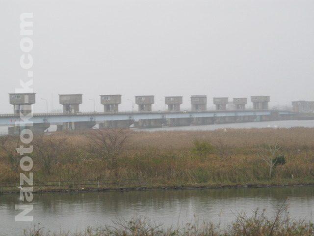 2015/11/23 利根川河口堰 小雨の中でのハゼ釣り
